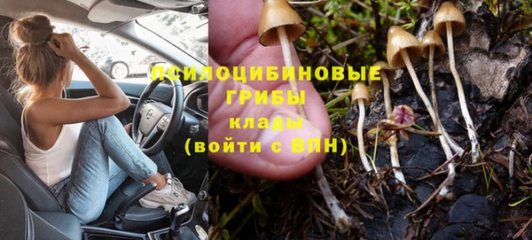 круглые Богородицк
