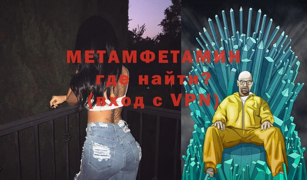 индика Каменногорск