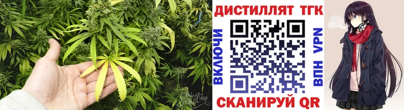 продажа наркотиков  Озёрск  Дистиллят ТГК Wax 